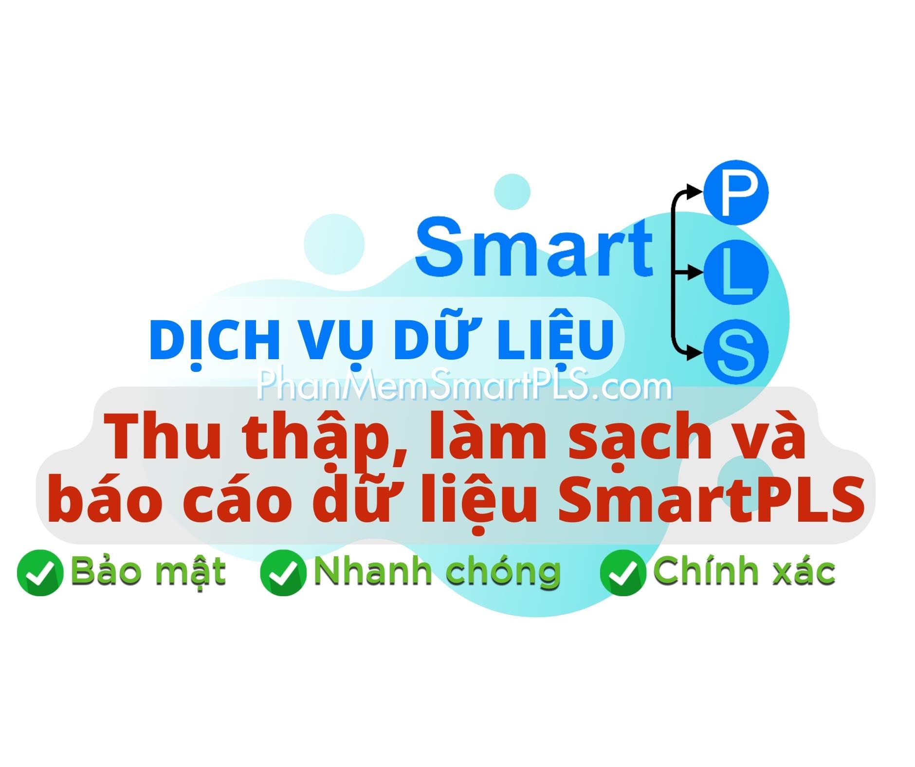 Dịch vụ làm sạch và hỗ trợ xử lý dữ liệu phần mềm SMARTPLS