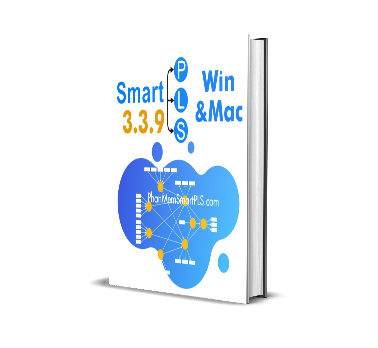 Phần mềm SmartPLS 3.3.9 Professional